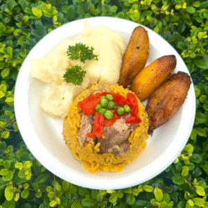 Arroz Amarillo Con Cerdo SPECIAL
